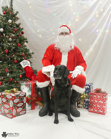 Ebony the Labrador Pose Your Pet with Santa 2017