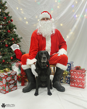 Ebony the Labrador Pose Your Pet with Santa 2017