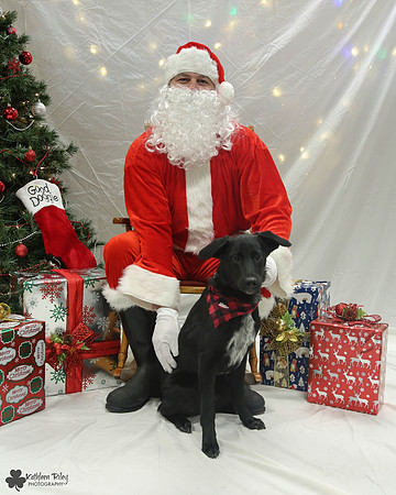 Arlo Pose Your Pet with Santa 2017