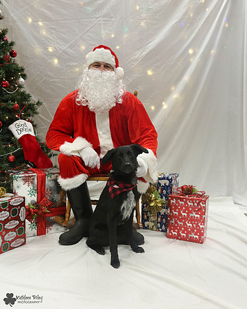 Arlo Pose Your Pet with Santa 2017