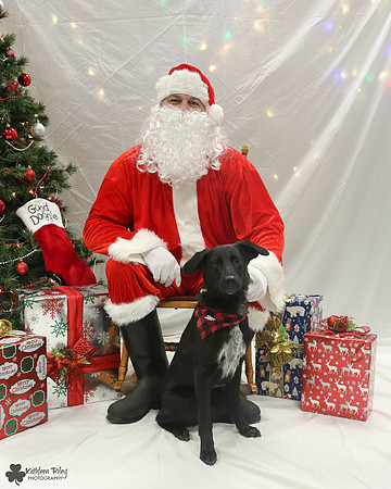 Arlo Pose Your Pet with Santa 2017