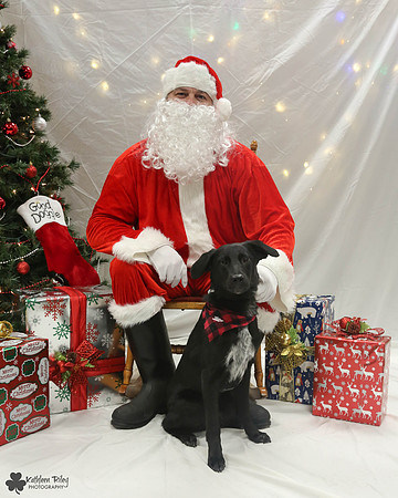 Arlo Pose Your Pet with Santa 2017