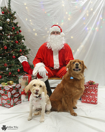 Pearly and Fred Pose Your Pet with Santa 2017