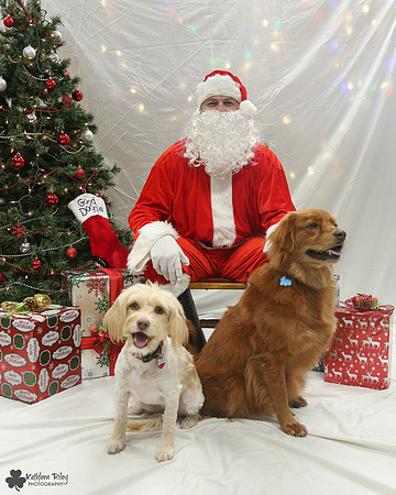 Pearly and Fred Pose Your Pet with Santa 2017