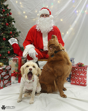 This made me smile! Pearly and Fred Pose Your Pet with Santa 2017