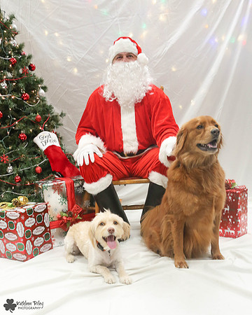 Pearly and Fred Pose Your Pet with Santa 2017