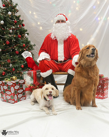 Pearly and Fred Pose Your Pet with Santa 2017