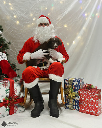 Vino the Border Collie Pose Your Pet with Santa 2017