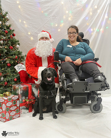Rizzo the Labrador retriever  Pose Your Pet with Santa 2017