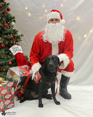 Ebony the Labrador Pose Your Pet with Santa 2017