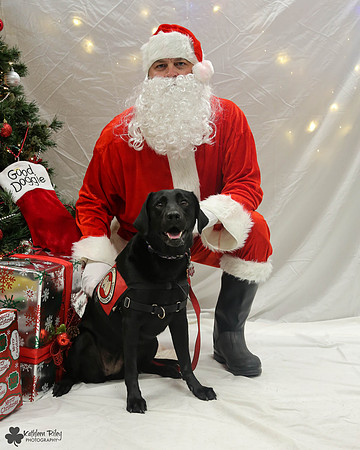Rizzo the Labrador retriever  Pose Your Pet with Santa 2017