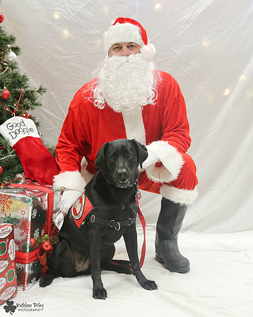 Rizzo the Labrador retriever  Pose Your Pet with Santa 2017