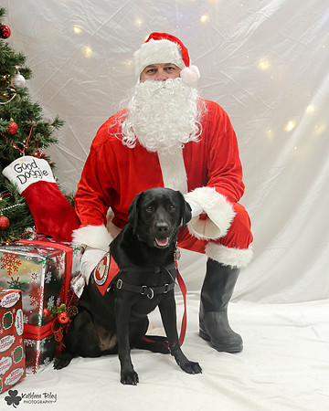 Rizzo the Labrador retriever  Pose Your Pet with Santa 2017