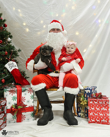 Rupert the Toy Poodle Pose Your Pet with Santa 2017