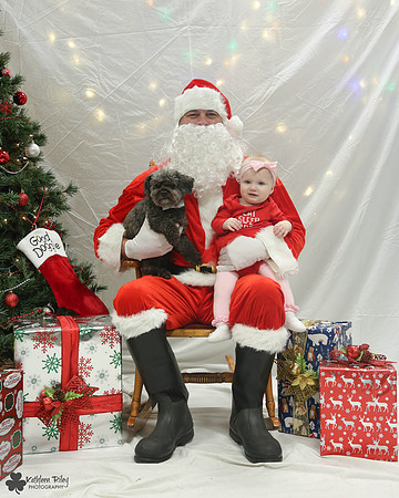 Rupert the Toy Poodle Pose Your Pet with Santa 2017