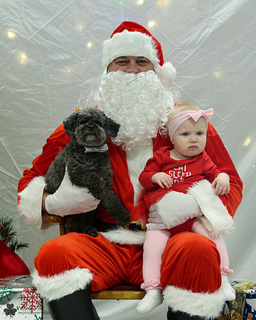 Rupert the Toy Poodle Pose Your Pet with Santa 2017