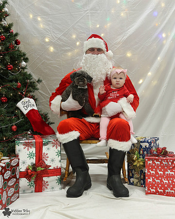 Rupert the Toy Poodle Pose Your Pet with Santa 2017