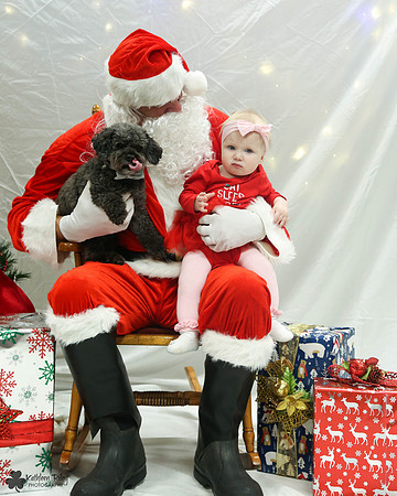 Rupert the Toy Poodle Pose Your Pet with Santa 2017
