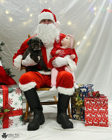 Rupert the Toy Poodle Pose Your Pet with Santa 2017