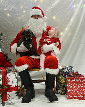 Rupert the Toy Poodle Pose Your Pet with Santa 2017