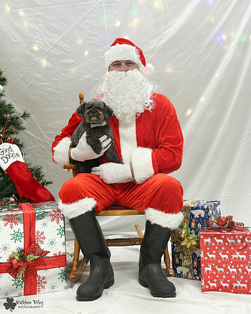 Rupert the Toy Poodle Pose Your Pet with Santa 2017