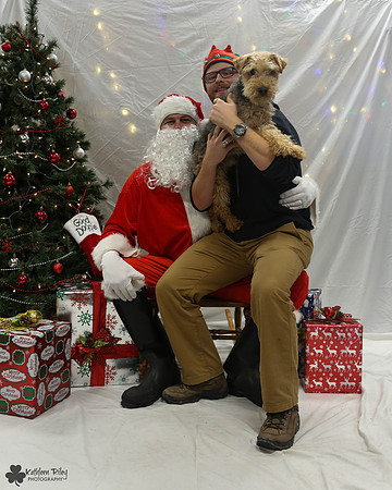 Chester the Welsh Terrier Pose Your Pet with Santa 2017