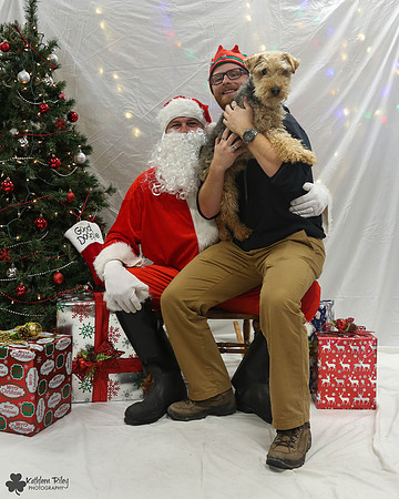 Chester the Welsh Terrier Pose Your Pet with Santa 2017