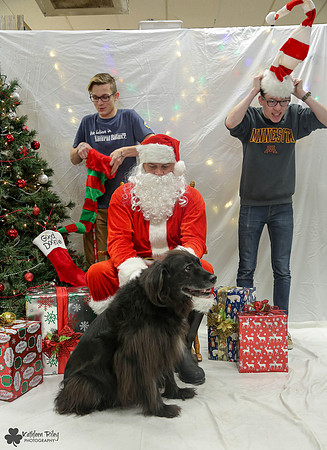 Smoky the Newfoundland - Behind the Scenes Pose Your Pet with Santa 2017