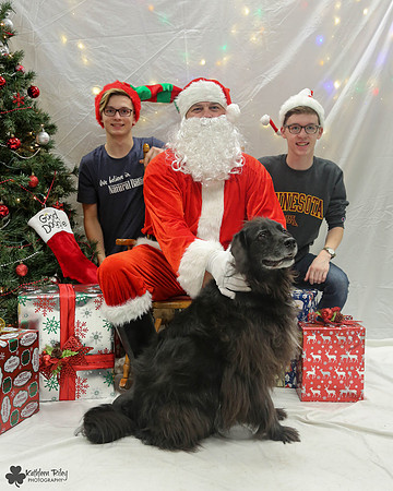 Smoky the Newfoundland - Pose Your Pet with Santa 2017