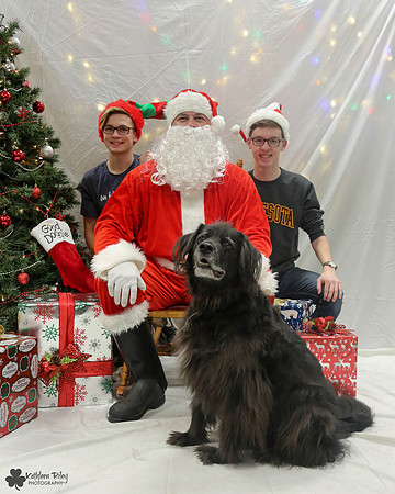 Smoky the Newfoundland - Pose Your Pet with Santa 2017