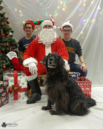 Smoky the Newfoundland - Pose Your Pet with Santa 2017