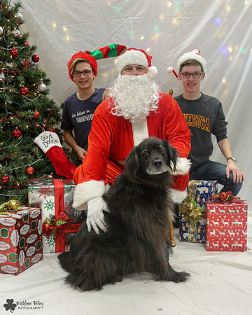 Smoky the Newfoundland - Pose Your Pet with Santa 2017