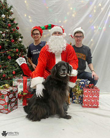 Smoky the Newfoundland - Pose Your Pet with Santa 2017