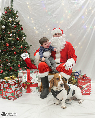 Stanley the Basset Hound Pose Your Pet with Santa 2017
