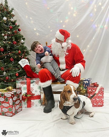 Stanley the Basset Hound Pose Your Pet with Santa 2017