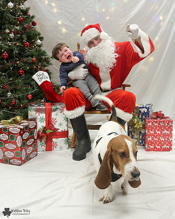 Stanley the Basset Hound Pose Your Pet with Santa 2017