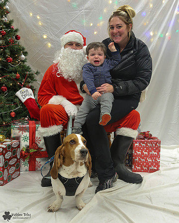 Stanley the Basset Hound Pose Your Pet with Santa 2017