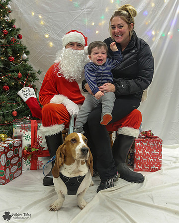 Stanley the Basset Hound Pose Your Pet with Santa 2017