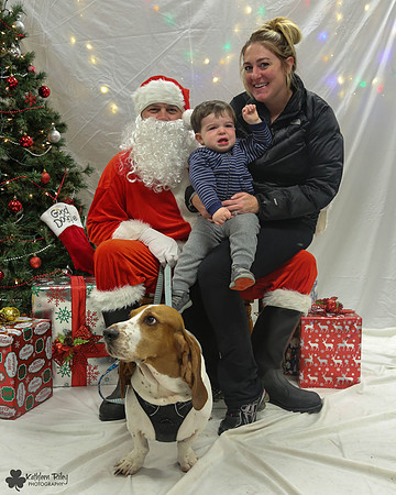 Stanley the Basset Hound Pose Your Pet with Santa 2017