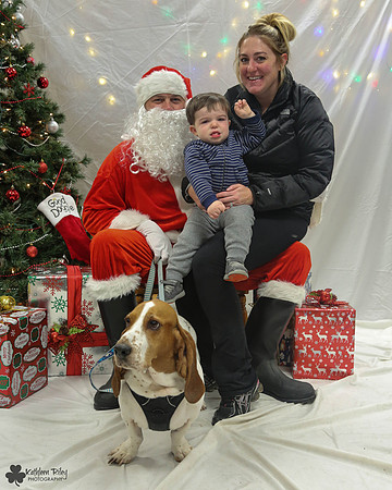 Stanley the Basset Hound Pose Your Pet with Santa 2017