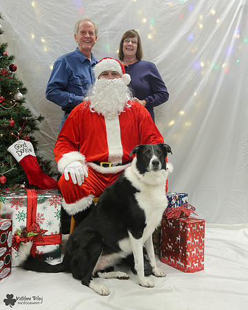 Belle the Collie Pose Your Pet with Santa