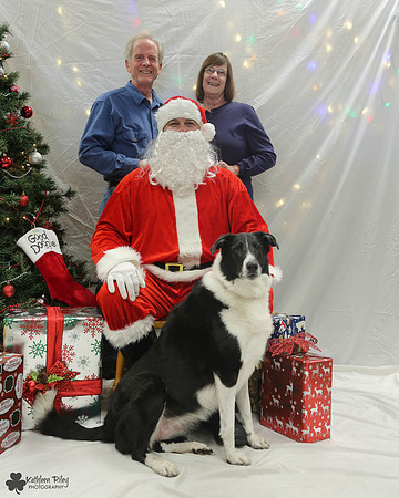 Belle the Collie Pose Your Pet with Santa