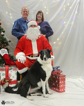 Belle the Collie Pose Your Pet with Santa