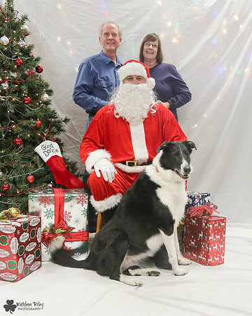 Belle the Collie Pose Your Pet with Santa