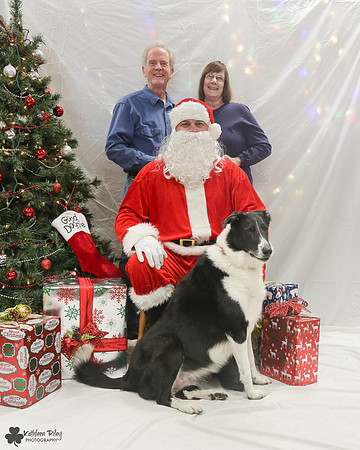 Belle the Collie Pose Your Pet with Santa