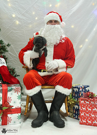 Minute the Poodle Pose Your Pet with Santa