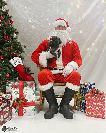 Minute the Poodle Pose Your Pet with Santa