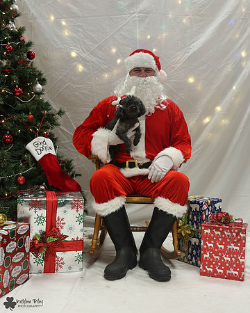 Minute the Poodle Pose Your Pet with Santa