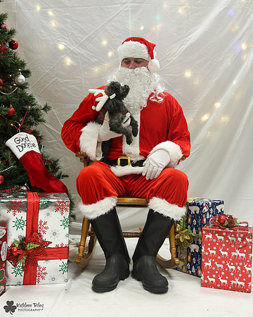 Minute the Poodle Pose Your Pet with Santa