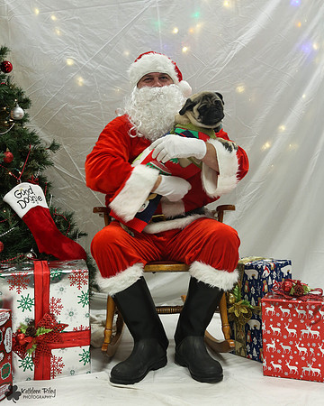 Max the Pug Pose Your Pet with Santa